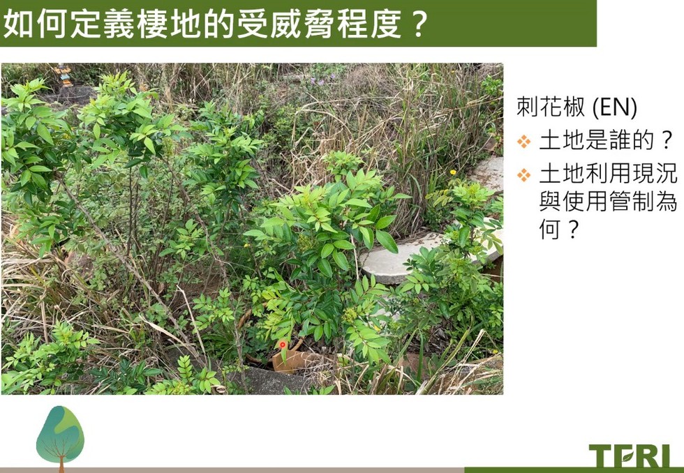 Plant Ark Program 國家植物園方舟計畫 fangzhou-2-6
