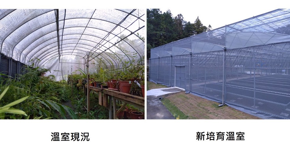 Plant Ark Program 國家植物園方舟計畫 fangzhou-3-16
