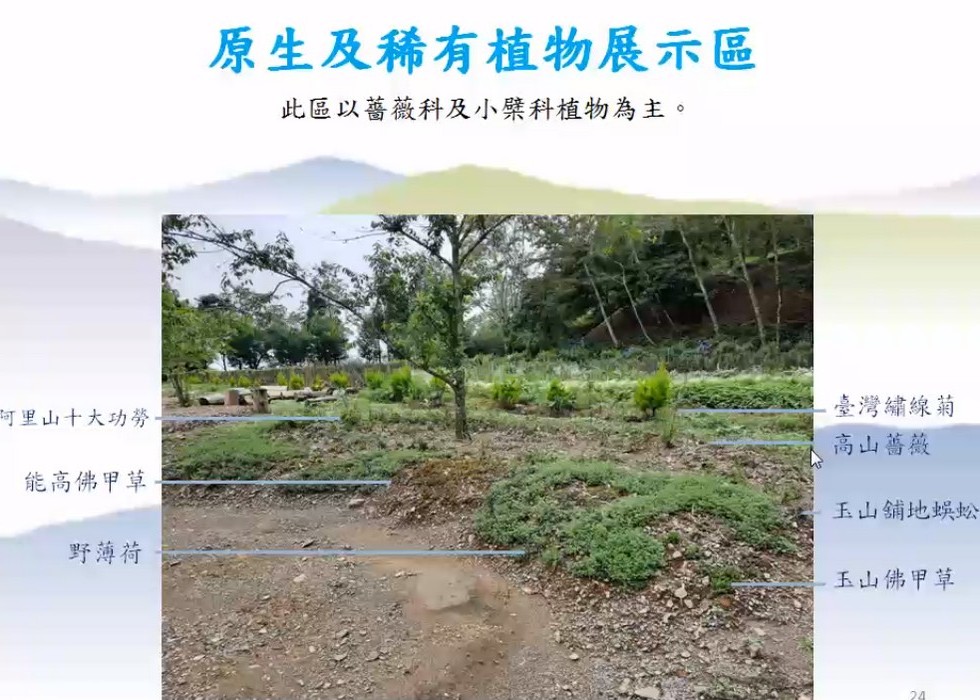 Plant Ark Program 國家植物園方舟計畫 fangzhou-4-23