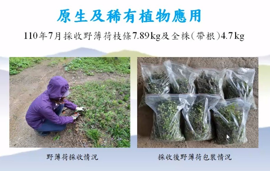 Plant Ark Program 國家植物園方舟計畫 fangzhou-4-25