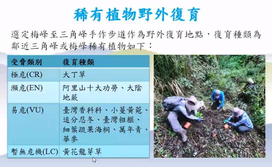 Plant Ark Program 國家植物園方舟計畫 fangzhou-4-27