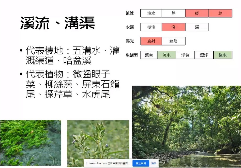 Plant Ark Program 國家植物園方舟計畫 fangzhou-5-12