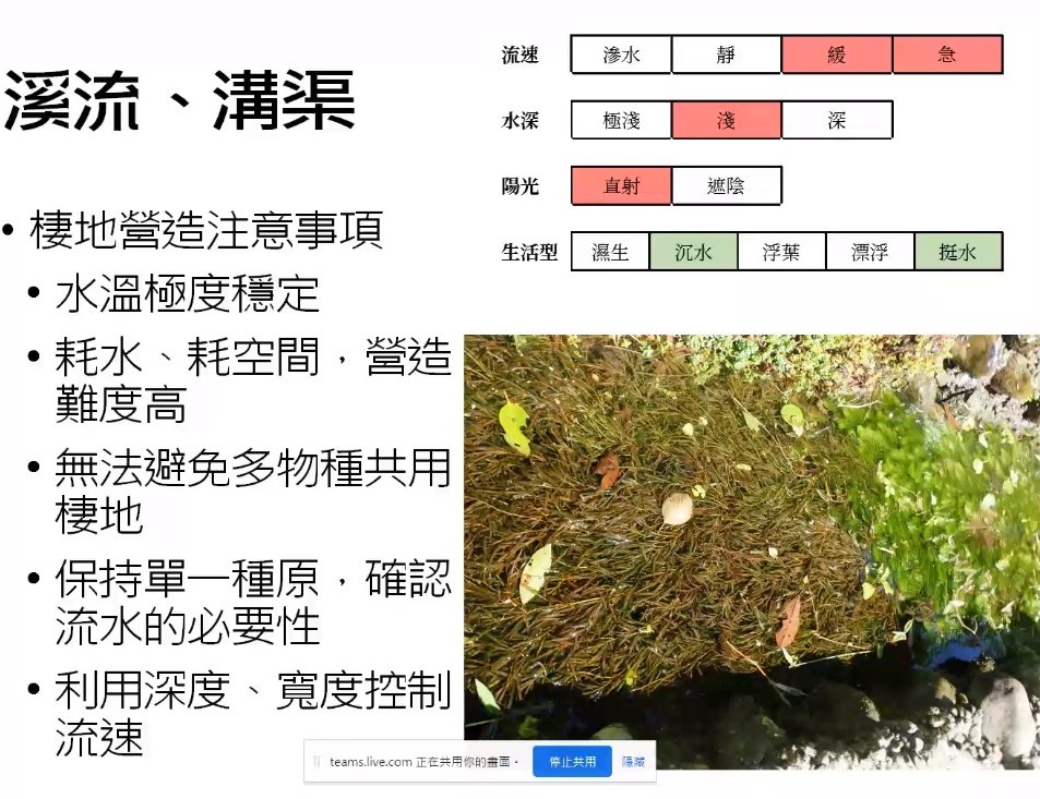 Plant Ark Program 國家植物園方舟計畫 fangzhou-5-13