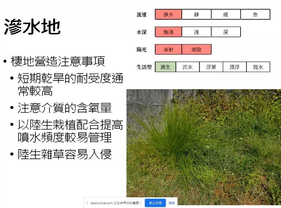 Plant Ark Program 國家植物園方舟計畫 fangzhou-5-22