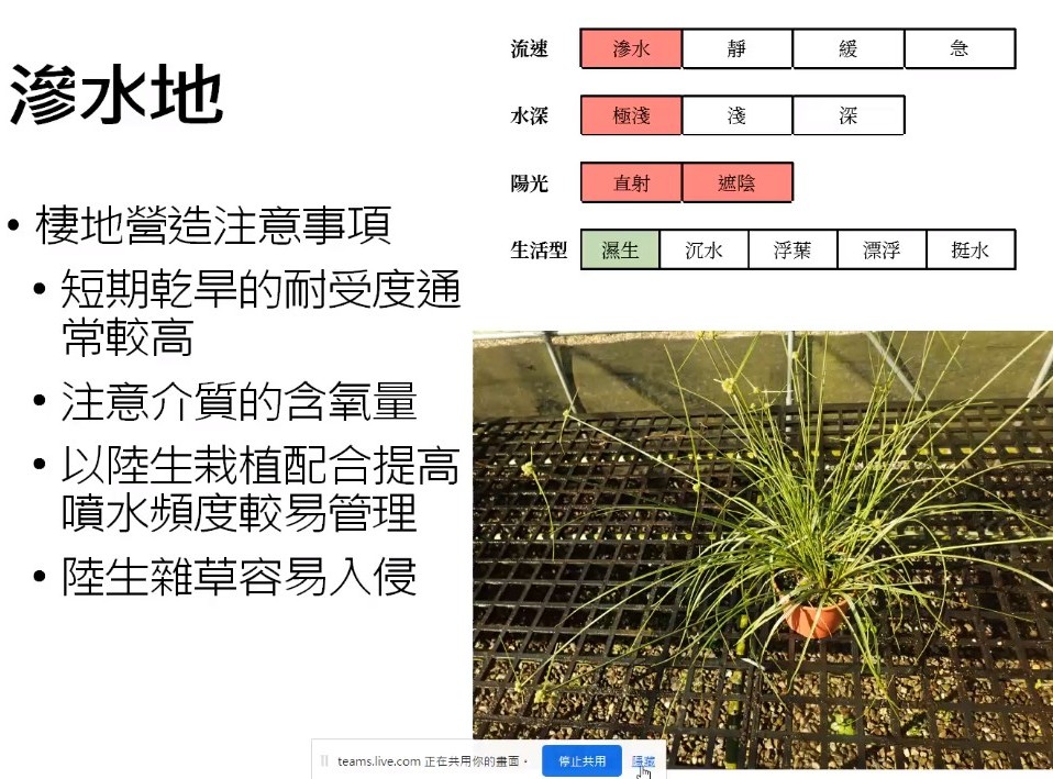 Plant Ark Program 國家植物園方舟計畫 fangzhou-5-23