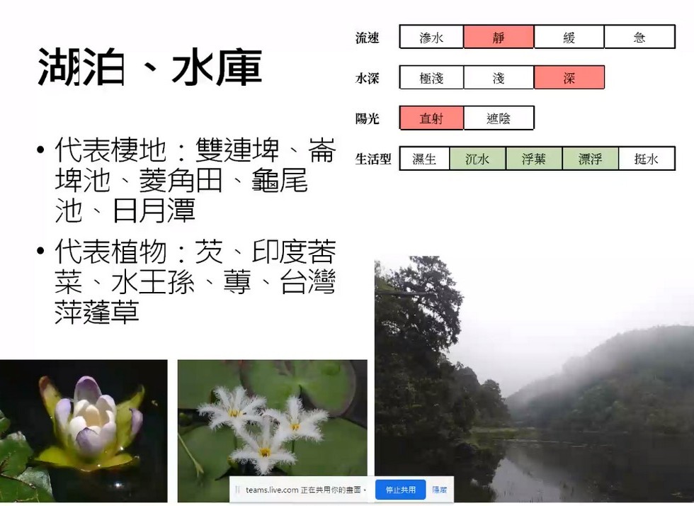 Plant Ark Program 國家植物園方舟計畫 fangzhou-5-9
