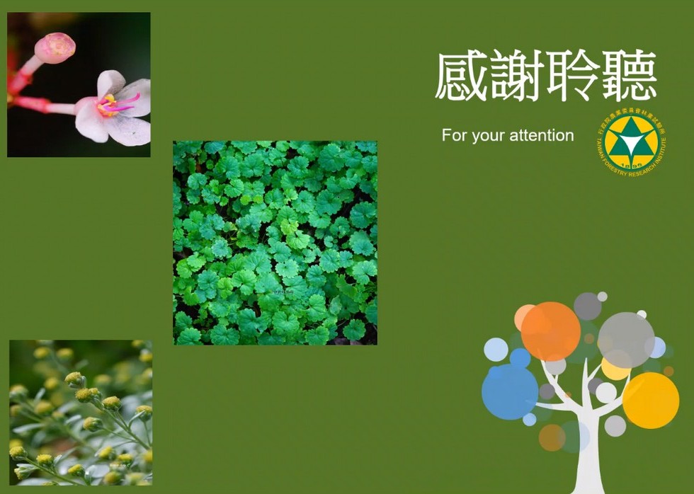 Plant Ark Program 國家植物園方舟計畫 fangzhou-6-39