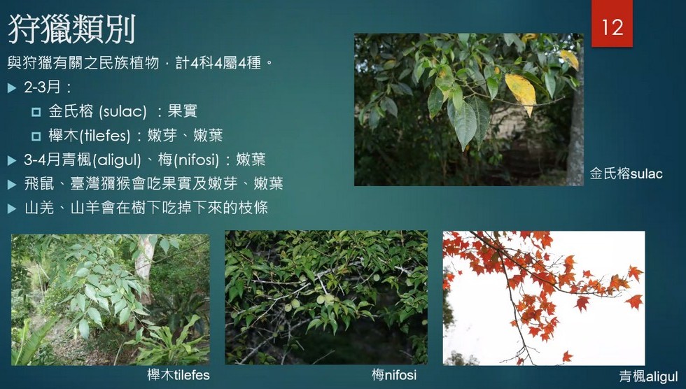 Plant Ark Program 國家植物園方舟計畫 fangzhou-7-11