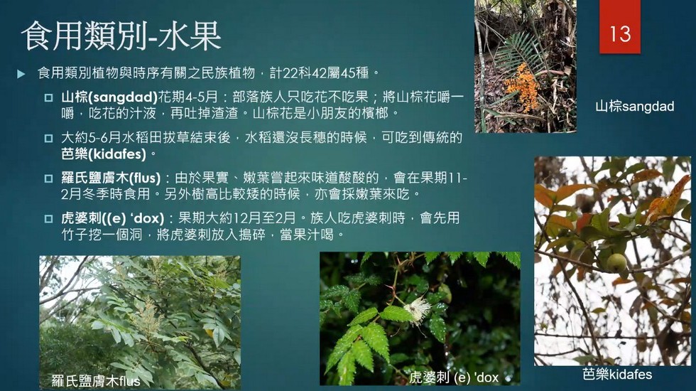 Plant Ark Program 國家植物園方舟計畫 fangzhou-7-12