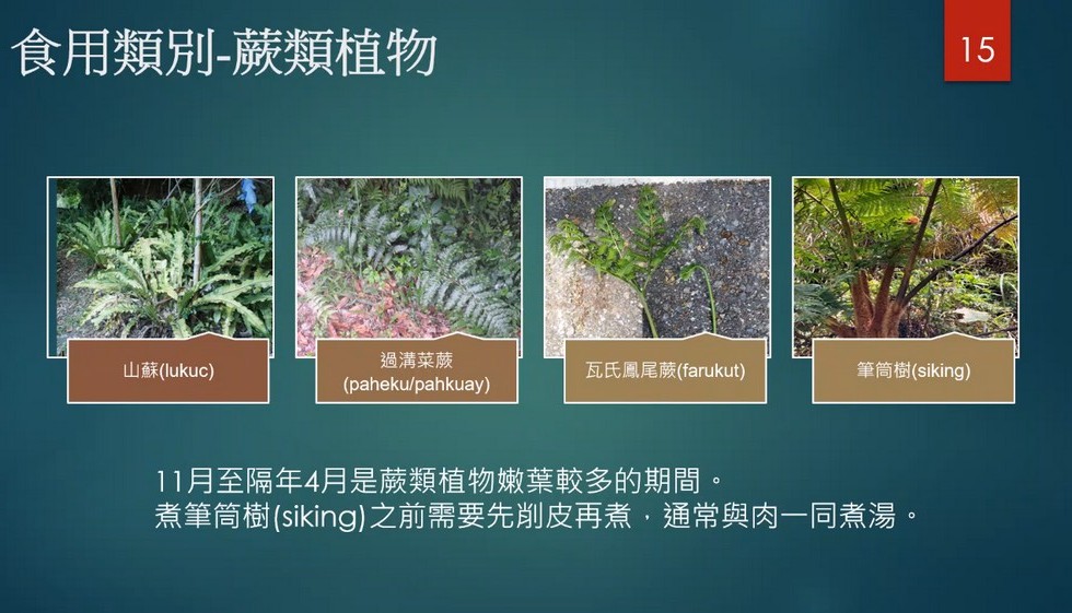 Plant Ark Program 國家植物園方舟計畫 fangzhou-7-14