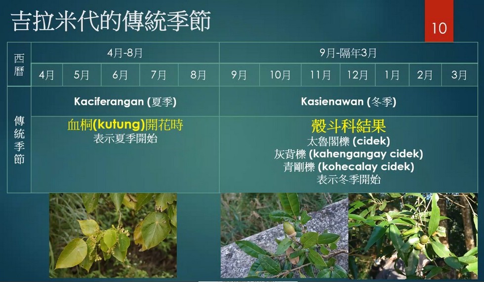 Plant Ark Program 國家植物園方舟計畫 fangzhou-7-9