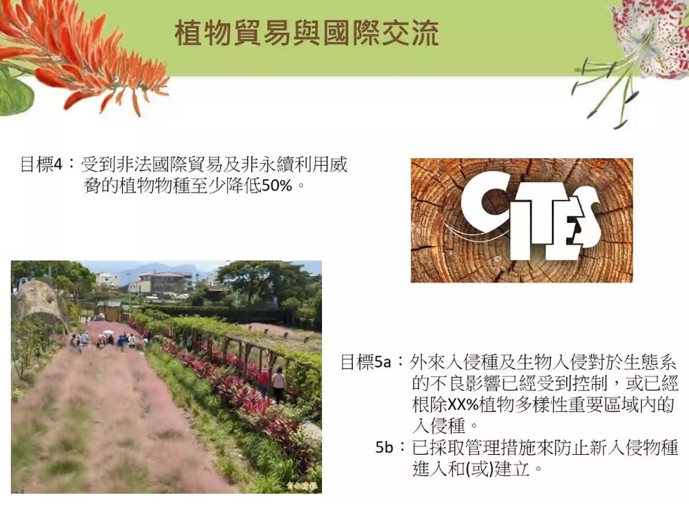 Plant Ark Program 國家植物園方舟計畫 fangzhou17