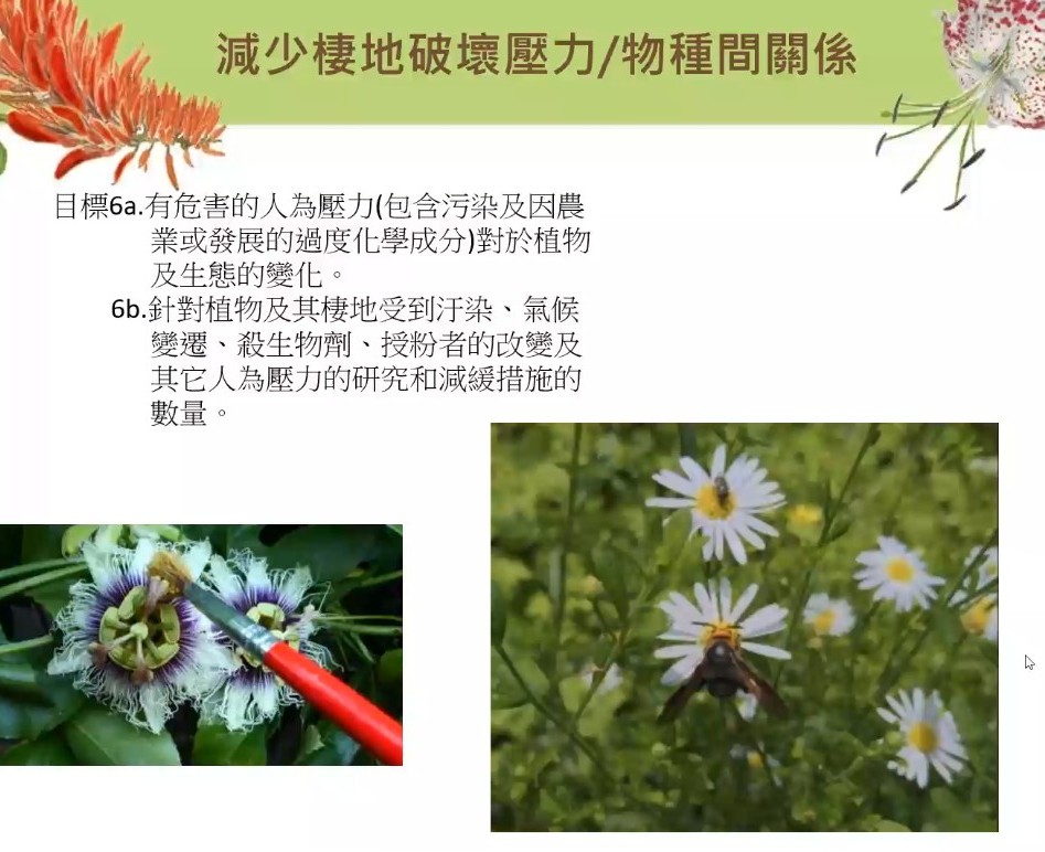 Plant Ark Program 國家植物園方舟計畫 fangzhou18