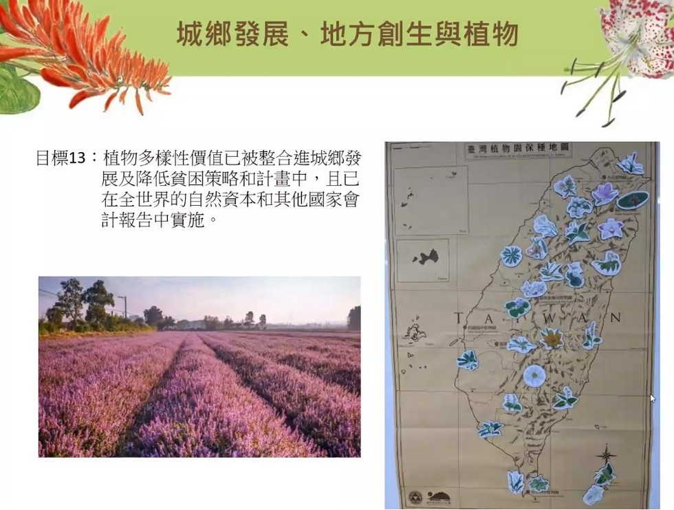 Plant Ark Program 國家植物園方舟計畫 fangzhou25