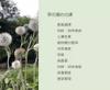 Plant Ark Program 國家植物園方舟計畫 fangzhou-10-18