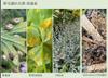 Plant Ark Program 國家植物園方舟計畫 fangzhou-10-21