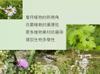 Plant Ark Program 國家植物園方舟計畫 fangzhou-10-4