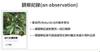 Plant Ark Program 國家植物園方舟計畫 fangzhou-12-5