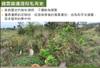 Plant Ark Program 國家植物園方舟計畫 fangzhou-2-10