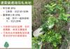Plant Ark Program 國家植物園方舟計畫 fangzhou-2-11