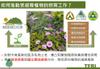 Plant Ark Program 國家植物園方舟計畫 fangzhou-2-18