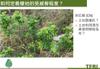 Plant Ark Program 國家植物園方舟計畫 fangzhou-2-6
