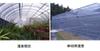 Plant Ark Program 國家植物園方舟計畫 fangzhou-3-16