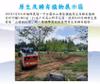 Plant Ark Program 國家植物園方舟計畫 fangzhou-4-21