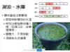 Plant Ark Program 國家植物園方舟計畫 fangzhou-5-10
