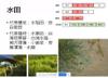 Plant Ark Program 國家植物園方舟計畫 fangzhou-5-15