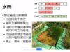 Plant Ark Program 國家植物園方舟計畫 fangzhou-5-16
