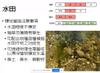 Plant Ark Program 國家植物園方舟計畫 fangzhou-5-17