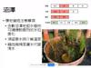 Plant Ark Program 國家植物園方舟計畫 fangzhou-5-19