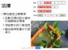 Plant Ark Program 國家植物園方舟計畫 fangzhou-5-20