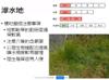 Plant Ark Program 國家植物園方舟計畫 fangzhou-5-22