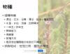 Plant Ark Program 國家植物園方舟計畫 fangzhou-5-6