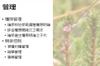 Plant Ark Program 國家植物園方舟計畫 fangzhou-5-7