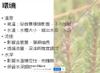 Plant Ark Program 國家植物園方舟計畫 fangzhou-5-8