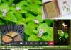 Plant Ark Program 國家植物園方舟計畫 fangzhou-6-38