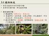 Plant Ark Program 國家植物園方舟計畫 fangzhou-8-19