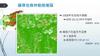 Plant Ark Program 國家植物園方舟計畫 fangzhou-9-10