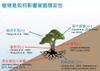 Plant Ark Program 國家植物園方舟計畫 fangzhou-9-7