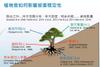 Plant Ark Program 國家植物園方舟計畫 fangzhou-9-8