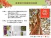 Plant Ark Program 國家植物園方舟計畫 fangzhou13