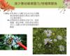 Plant Ark Program 國家植物園方舟計畫 fangzhou18