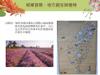 Plant Ark Program 國家植物園方舟計畫 fangzhou25