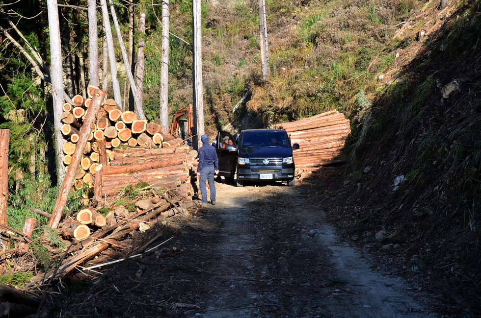 Skaru 霞喀羅 trail DSC_2569