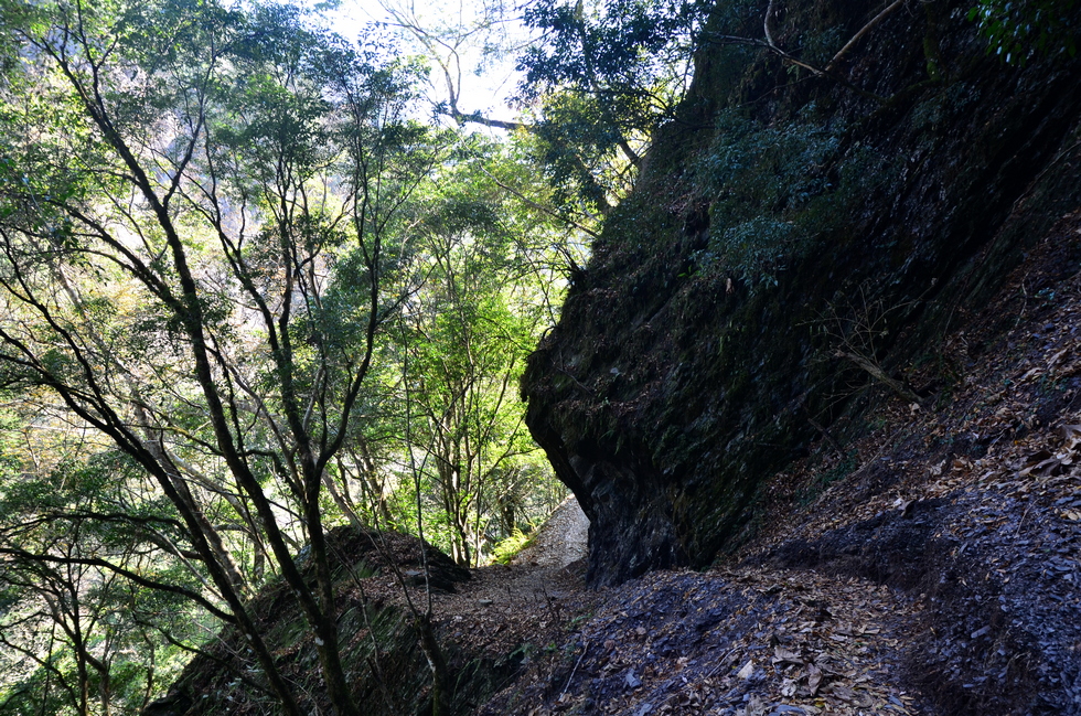 Skaru 霞喀羅 trail DSC_2673