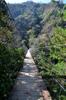 next photo: Baishi suspension bridge 白石吊橋