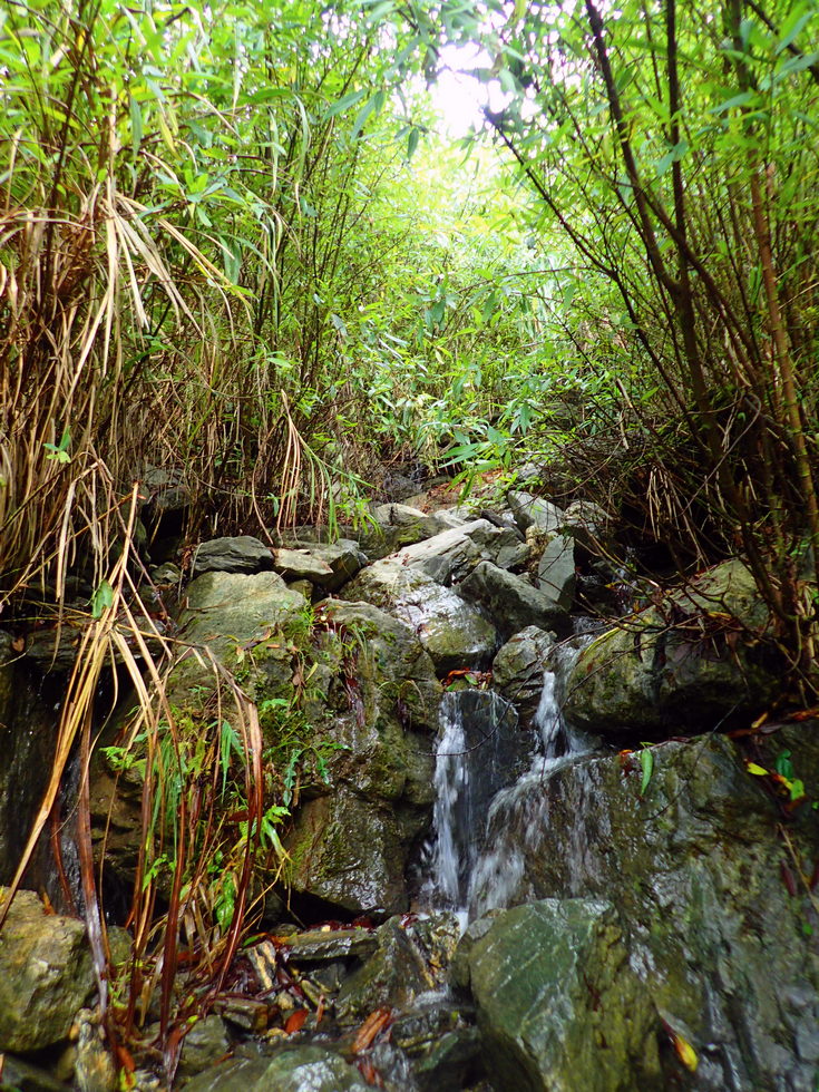 Yading Hot Springs 芽丁溫泉 PC050894